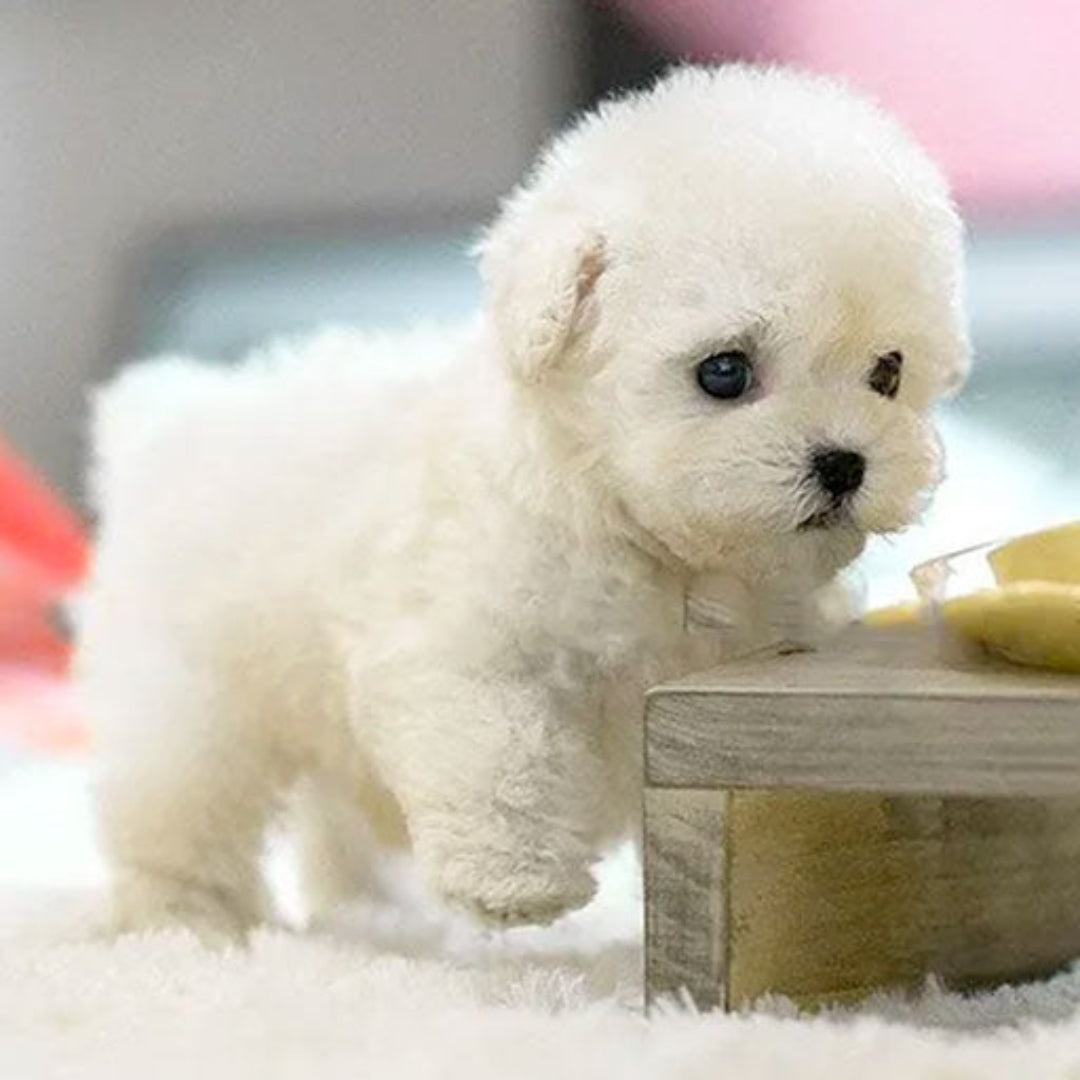 Jouet Chiot Électronique Réaliste en Peluche