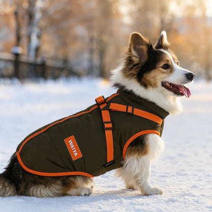 Manteau Chien Hiver Doux et Imperméable