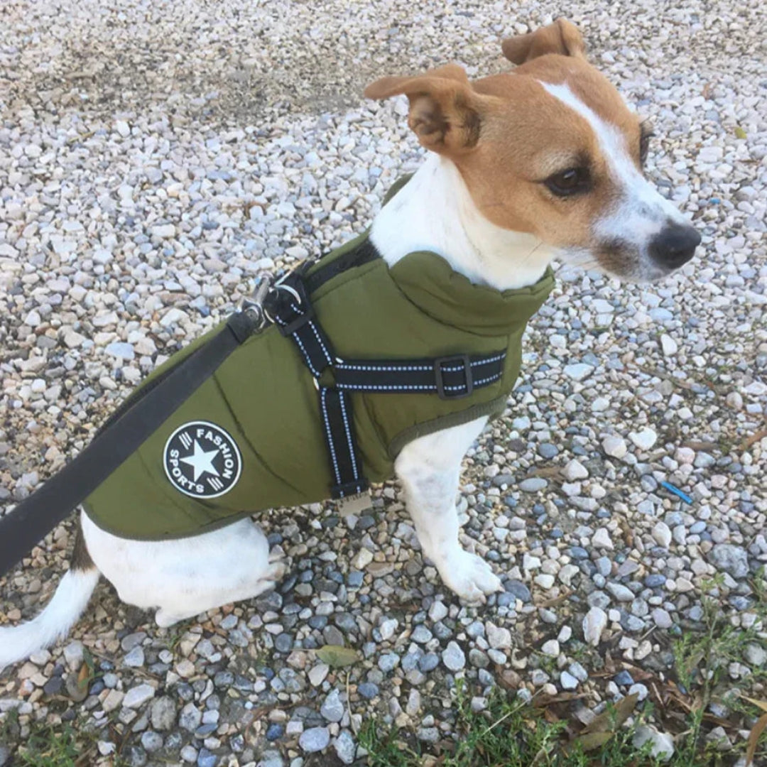 Gilet pour chien doux et imperméable