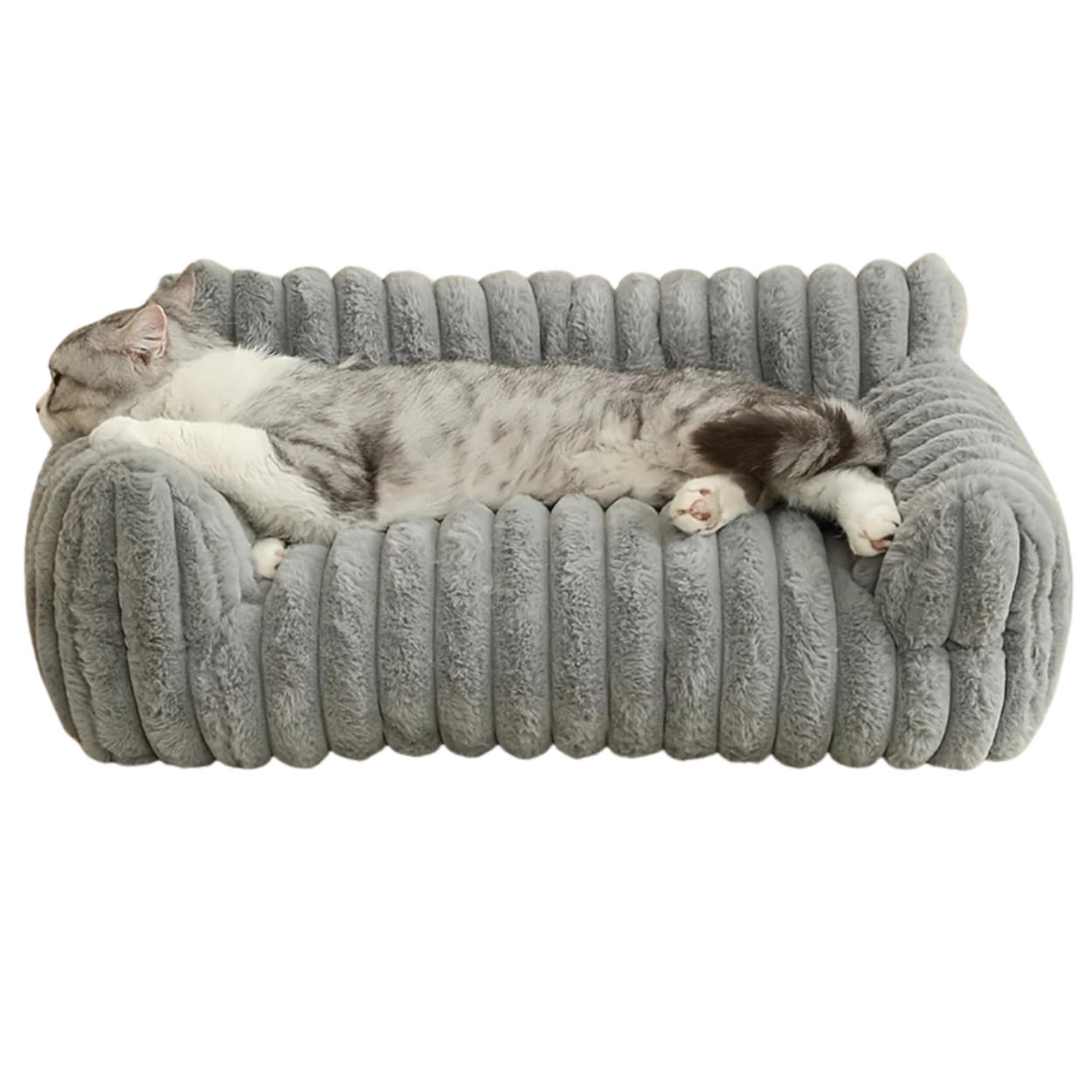 Lit pour Chat Orthopédique et Confortable