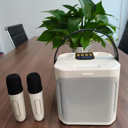 Enceinte Bluetooth Portable Puissant avec Fonction Karaoké