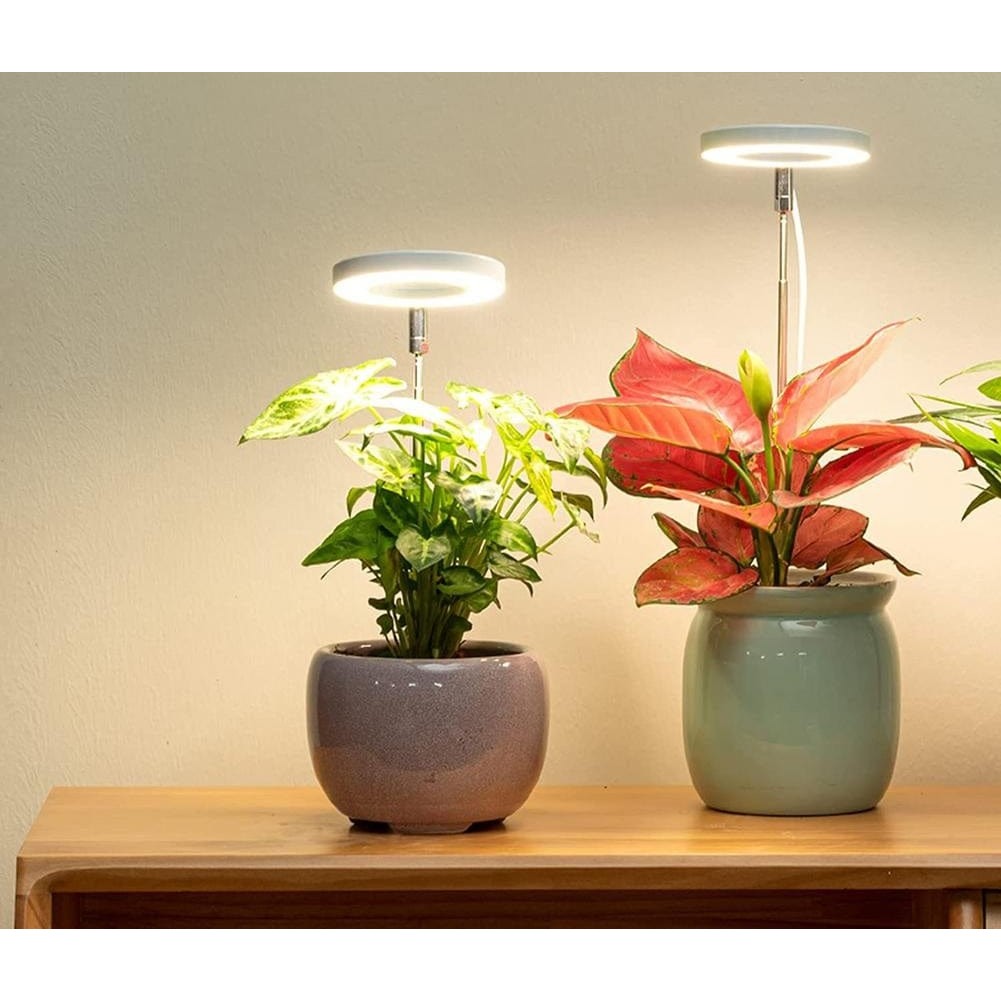 Lampe LED Polyvalente pour Plantes Intérieures - Foivo