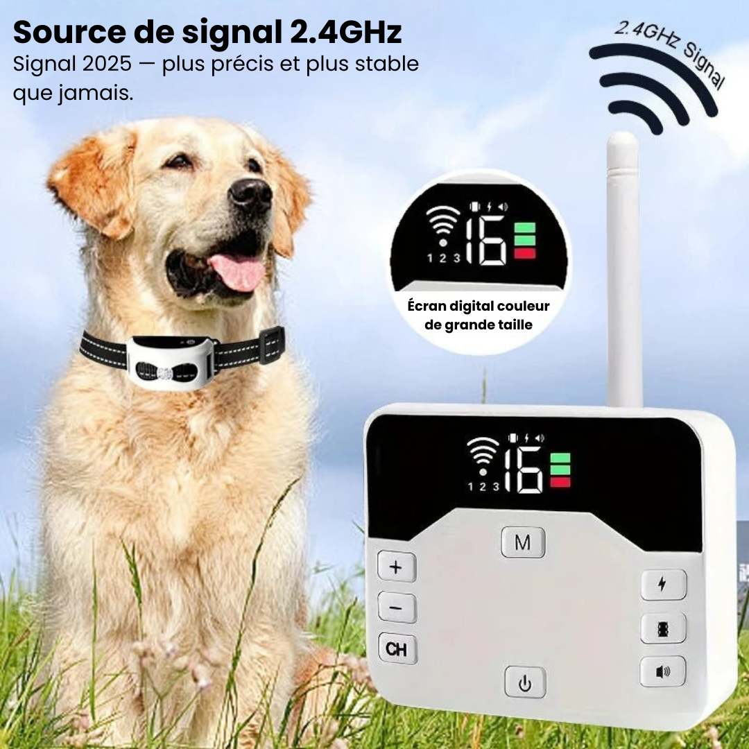 Marcherelle™ – Collier Electrique de Dressage pour Chien avec Zone de Sécurité Réglable