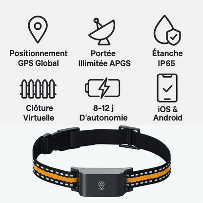 Marcherelle™ – Collier GPS Chat Sans Abonnement, Suivi en Temps Réel