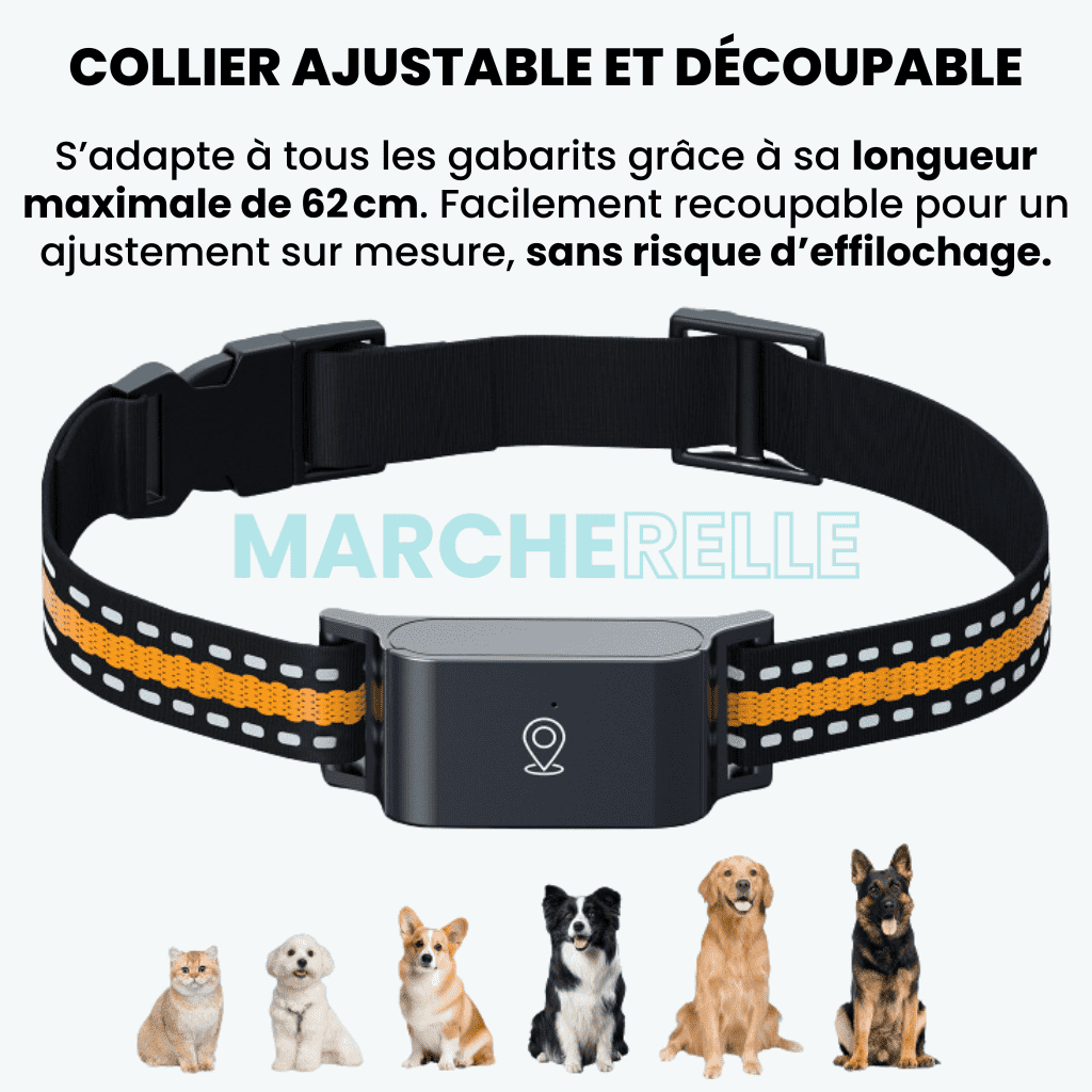 Marcherelle™ – Collier GPS Chat Sans Abonnement avec Suivi Précis, Portée Illimitée