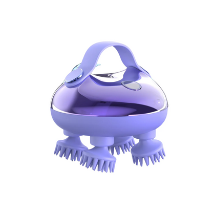 Elektrische Haarborstel met Ionisatie