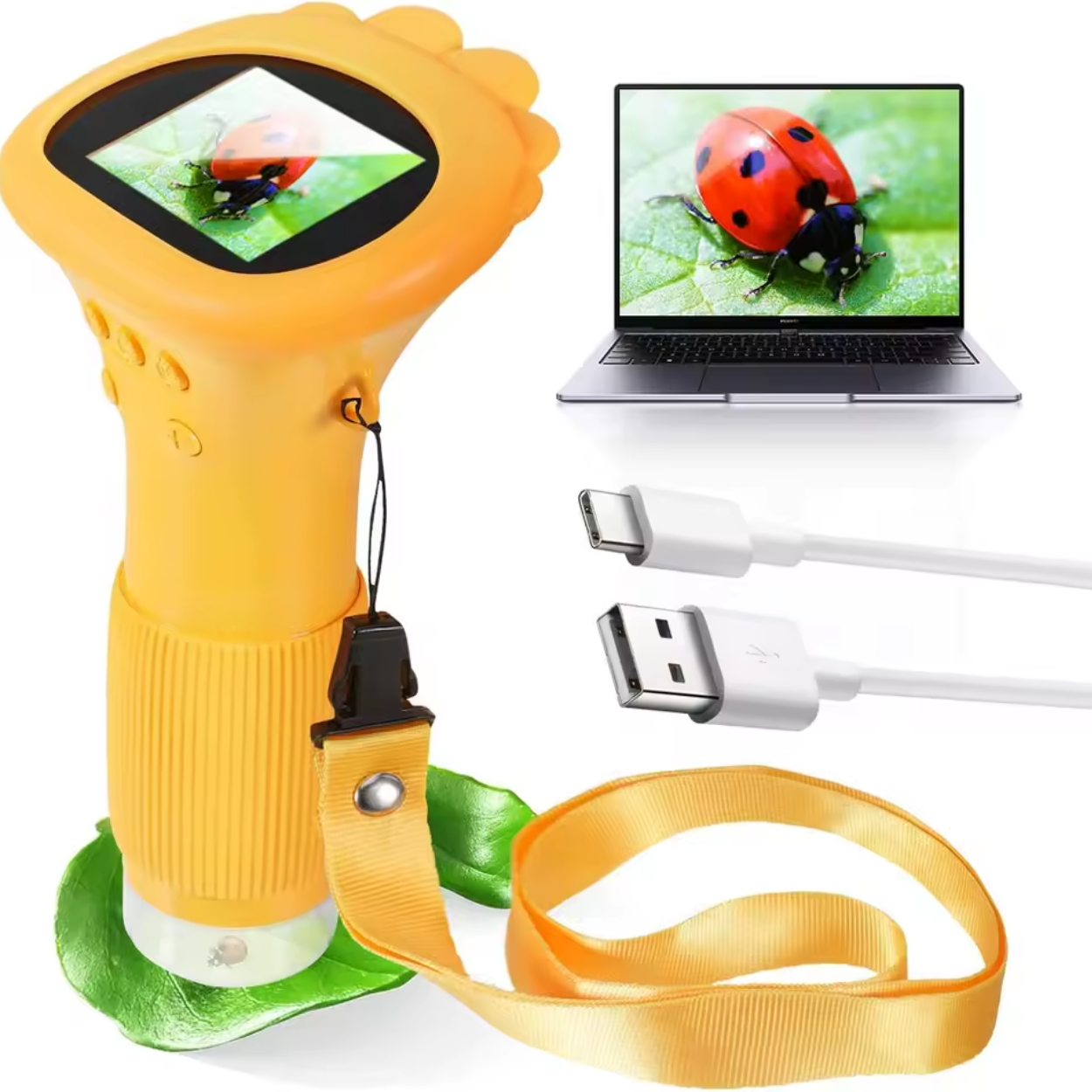 Kinder Microscoop met Kleurrijk Digitaal Scherm