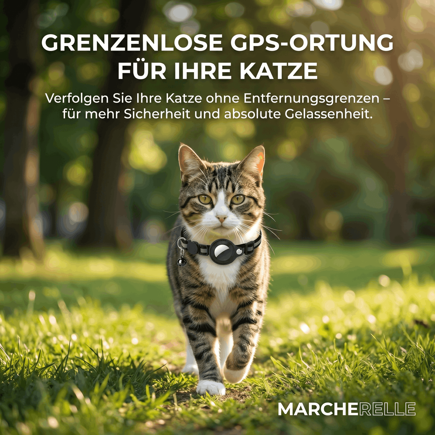 Macherelle™ – GPS-halsband voor katten zonder abonnement | Compatibel met iOS & Android