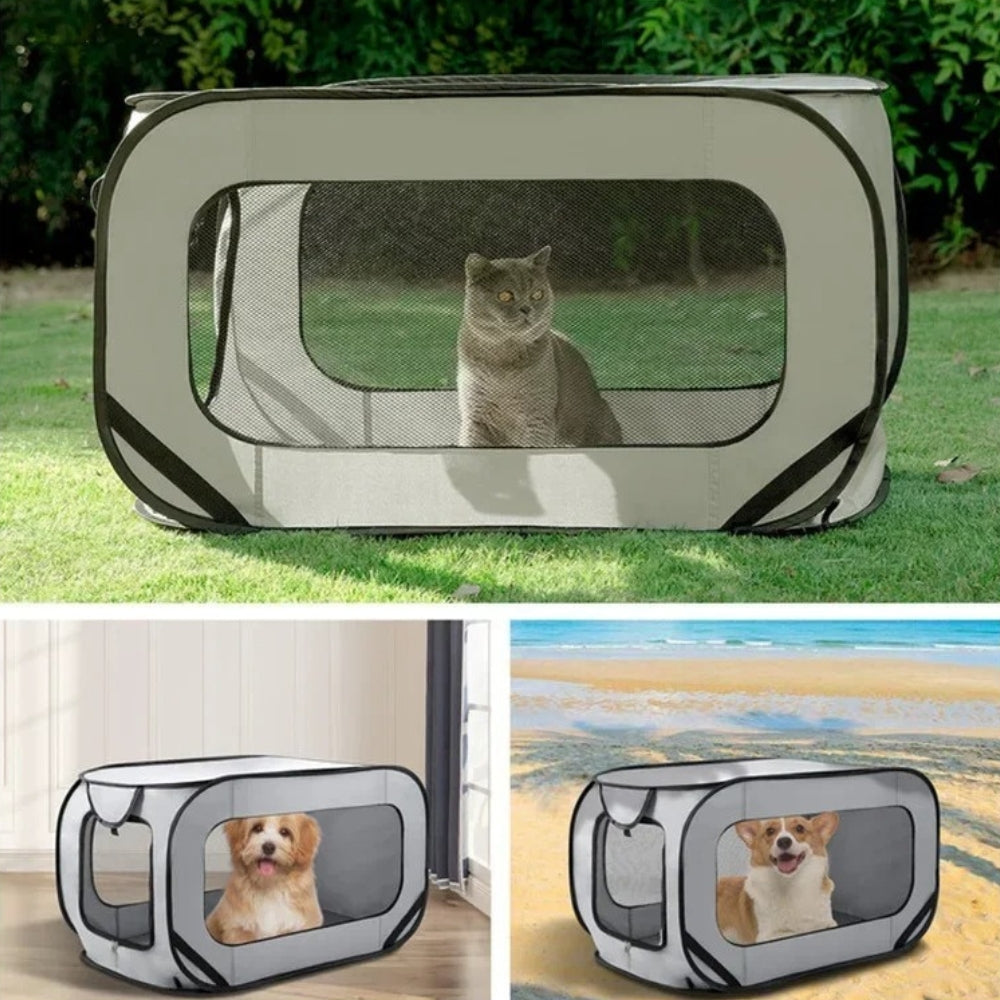 Cage de Transport Chien pour Voiture Sûre et Pratique