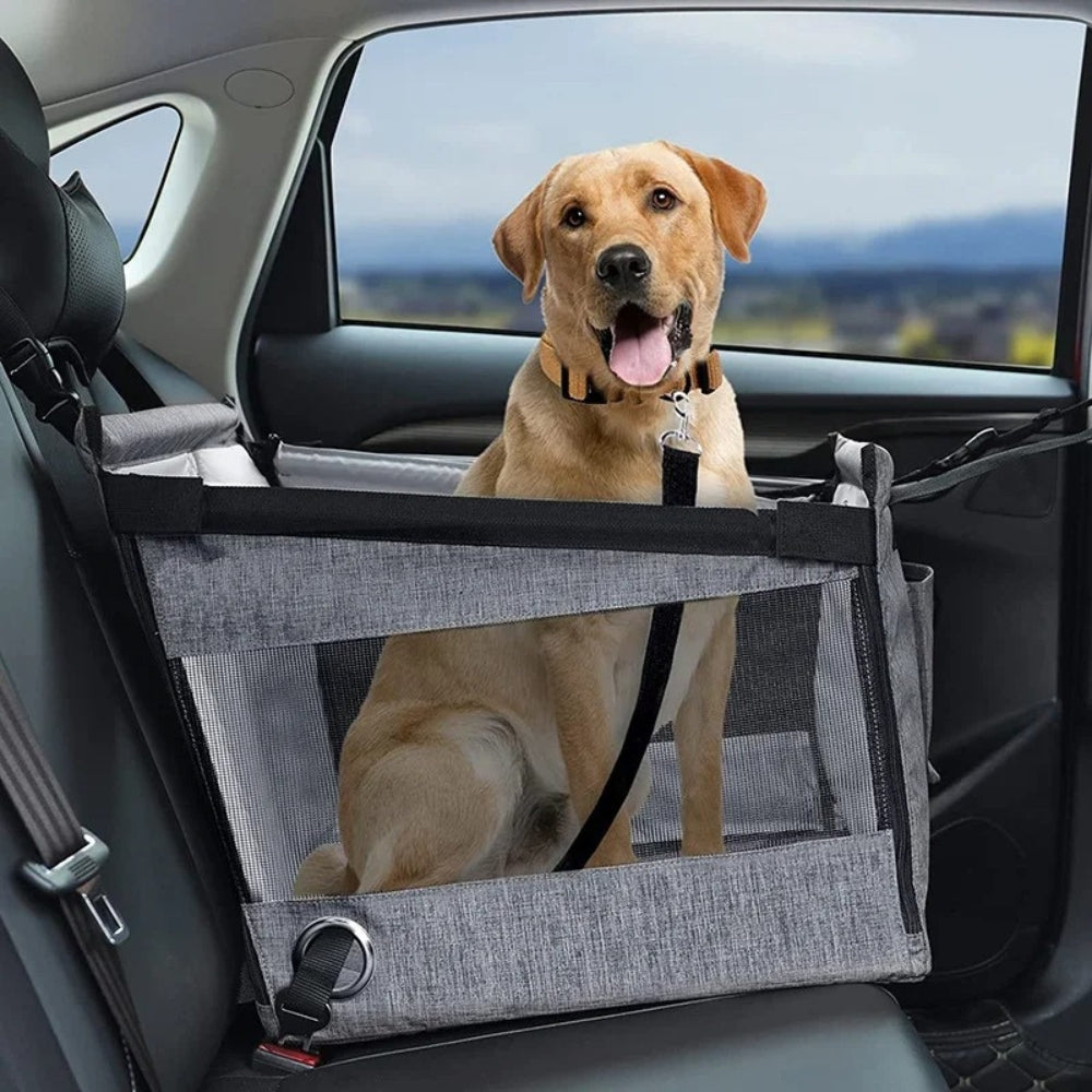 Panier de Transport Chien pour Voiture